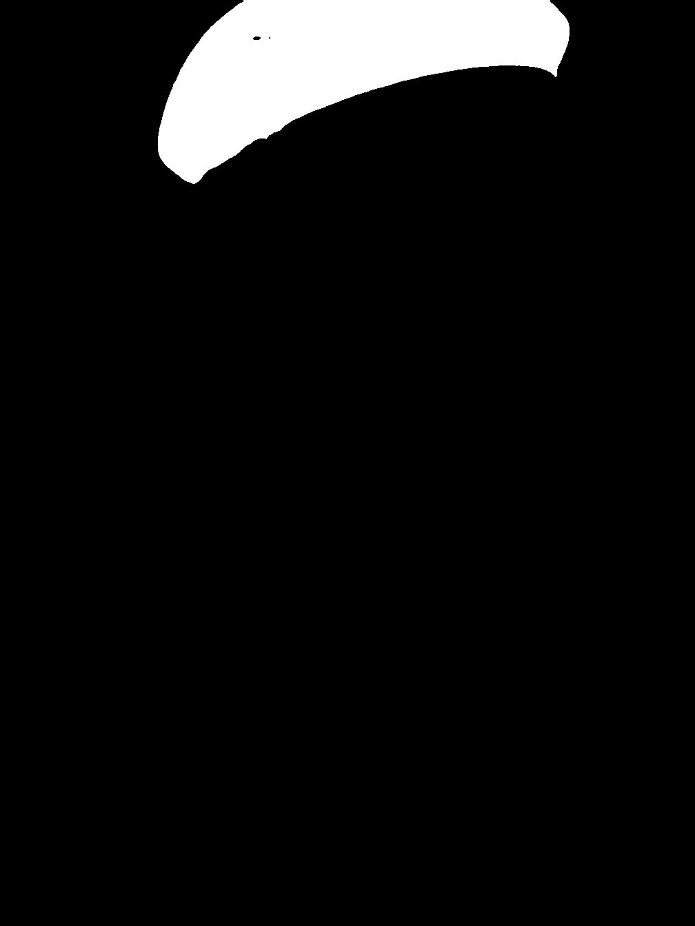 segment_anything_result_2_4